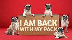 क्यूट Pug की वजह से मुश्किल में आया वोडाफोन