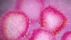 भारत में कम हो सकता है कोरोना का प्रकोप अगर हम यूज करें ये टेक्‍नालॉजी