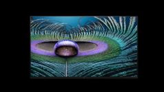 Sony ने लॉन्च की भारत में सबसे महंगी TV, कीमत है 12,99,990 रुपये