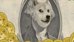 14 करोड़ Shiba Inu टोकन डेड वॉलेट में हुए ट्रॉस्फर , जानें लेटेस्ट कीमत