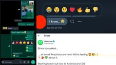 WhatsApp लाया अपने यूजर्स के लिए Emojis का भंडार , किसी भी मैसेज पर दें अपना पसंदीदा रिएक्शन