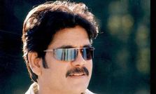 దూకుడుమీదున్న... మహేష్, నాగ్, ఎన్‌టీఆర్!