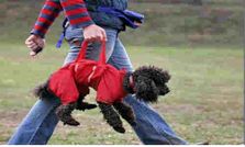 ఇళ్లంతా కొత్తగా.. క్రియేటివ్ గృహోపకరణాలు!