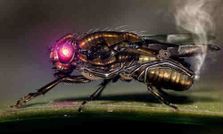 క్రియేటివిటీకి ‘కేర్ ఆఫ్ అడ్రస్’