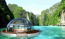 భవిష్యత్ ఇల్లు... ఓ హరివిల్లు!