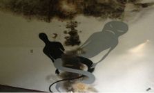 భయాన్ని గొల్పుతున్న షాడో ఆర్ట్ ఇల్యూషన్స్