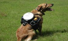 మీ పెంపుడు కుక్క కోసం రిమోట్ కంట్రోల్ ప్యాక్!