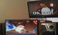 ఫన్నీ క్రియేటివ్ డెస్క్‌టాప్ వాల్‌పేపర్లు