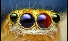 వింత ప్రపంచానికి స్వాగతం!!