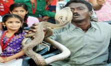 విష సర్పాలను ఇట్టే పట్టేస్తాడు!