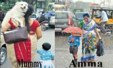 సోషల్ మీడియాలో నేటి భాగోతం!