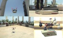 విమానం ద్వారా పిజ్జా డెలివరీ