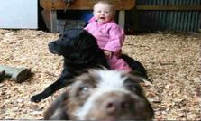 బెస్ట్ ఫోటో బాంబింగ్ ఫోటోలు