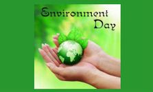 పర్యావరణం మనందరి కర్తవ్యం