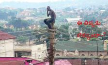 సోషల్ మీడియాలో సరికొత్త వినోదాలు!