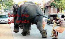 ఫన్నీ సోషల్ మీడియా