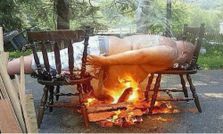 సోషల్ మీడియాలో సరికొత్త వినోదాలు