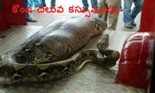 ట్రెండింగ్ సోషల్ మీడియాలో థ్రిల్లింగ్ ఫోటోలు!