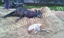 సోషల్ మీడియా హంగామా... మీకోసం!!