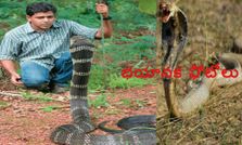 వేడి వేడి ఎంటర్‌టైన్‌మెంట్