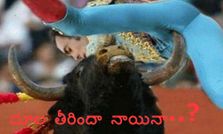 సోషల్ మీడియాలో వినూత్న చిత్రాలు
