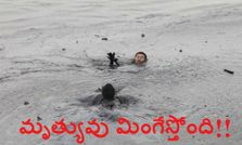 ఫోటోగ్రాఫర్లు..ఇరగదీసారు..!!