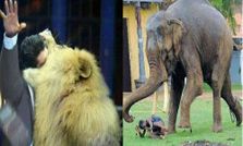 మృత్యువు విరుచుకుపడిన వేళ!!