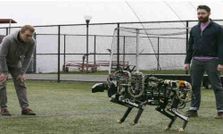 ఈ రోబోట్ ‘బోల్ట్ కన్నాఫాస్ట్’