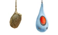 ఓ మనిషీ... నీ మూలం ప్రకృతే!