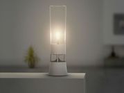 హద్దులు దాటిన తెలివి!