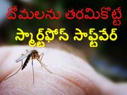 దోమలను తరిమికొట్టే ‘స్మార్ట్‌ఫోన్’ సాఫ్ట్‌వేర్