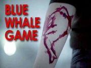 ఉసురు తీస్తోన్న Blue Whale ఛాలెంజ్, ఇండియాలో మరొకరు ఆత్మహత్య
