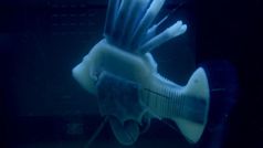 రోబోటిక్ ఫిష్ సరికొత్త సృష్టి !! నకిలీ రక్తంతో ఎలా పనిచేస్తుందో చూడండి...