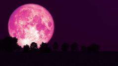 Strawberry Supermoon 2021: గులాబీ రంగులో సూపర్‌మూన్!! ఎప్పుడు, ఎక్కడ కనిపిస్తుంది?