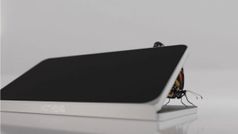 నథింగ్‌ నుంచి ఫోల్డింగ్‌ ఫోన్‌ రానుందా.. ఎప్పుడంటే?