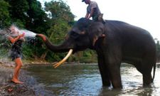 വിചിത്രം ഈ ചിത്രങ്ങള്‍!!!