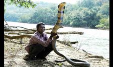 സമ്മതിച്ചു, ഇവരുടെ ധൈര്യവും തൊലിക്കട്ടിയും!!!