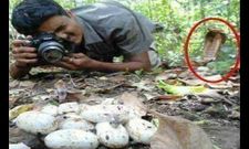 അപാര ബുദ്ധിതന്നെ... ഇവരെ സമ്മതിച്ചു!!!