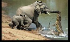 ലോകം ഇങ്ങനാണ് ഭായ്...