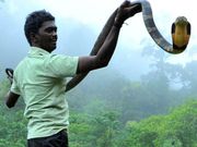ഇനി പാമ്പിനെ പേടിക്കേണ്ട; വാവ് സുരേഷിന്റെ ആപ് എത്തി...!