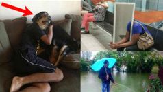 ലോകത്തെ മൊത്തം ചിരിപ്പിച്ച 20 ചിത്രങ്ങൾ.. നിങ്ങൾ എത്ര തന്നെ മസിലു പിടിച്ചാലും ഒന്ന് ചിരിക്കും!