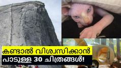 സോഷ്യൽ മീഡിയയിൽ ഇത്രയധികം വൈറലായ ചിത്രങ്ങൾ വേറെയുണ്ടാവില്ല!