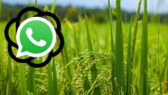 സഹായങ്ങൾ കർഷകരിലെത്തിക്കാൻ കേന്ദ്രം ചാറ്റ് ജിപിടി അ‌ധിഷ്ഠിത വാട്സ്ആപ്പ് ചാറ്റ്ബോട്ട് വികസിപ്പിക്കുന്നു