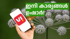 വിഐ സിം ഉണ്ടോ, ഒരു മാസത്തേക്ക് രാത്രികൾ അ‌ൺലിമിറ്റഡ് സന്തോഷത്താൽ നിറയ്ക്കാം!