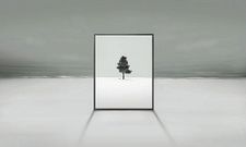 Samsung Might Showcase a Transparent, Portrait TV for CES 2013