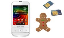 Micromax A30 Smarty 3.0 Goes on Sale Online at Rs 3849: Top 5 Rivals of Entry Level Dual SIM Handset