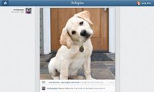 Instagram Feeds Now Available On The Web