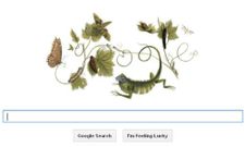 Google Honors Maria Sibylla Merian 366th Birthday With a Doodle : 5 Facts About the Naturalist