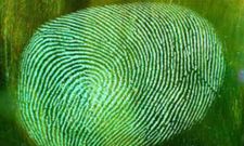 Samsung Galaxy S5 Update: Fingerprint Sensor Confirmed
