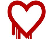 Heartbleed on the Loose: Why is it Such a Threat and Who is Affected?